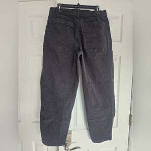 Everlane The Utility Barrel Pant
